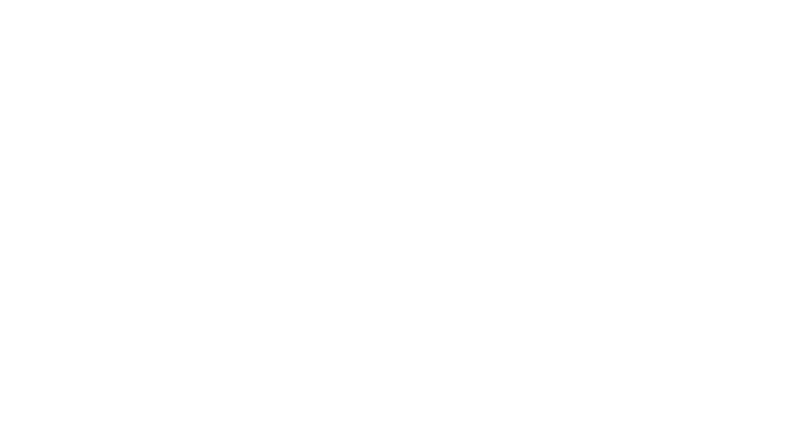 evox logo light